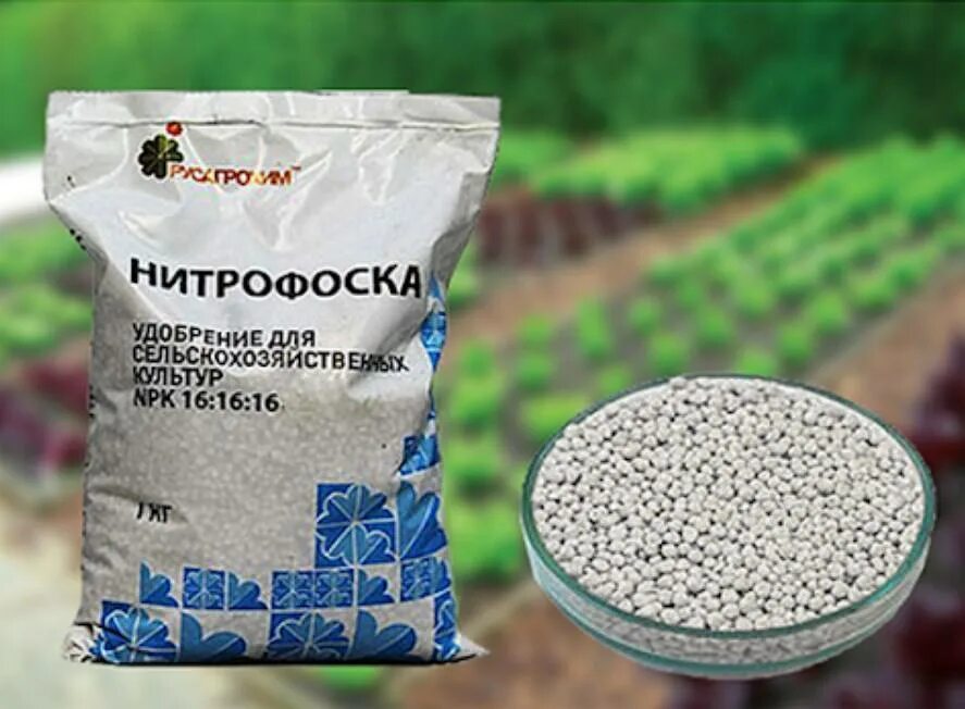 Нитрофоска состав удобрения и применение. Сернокислая нитрофоска. нитроаммофоска 161616. нитрофоска удобрение состав. сульфатная нитрофоска.