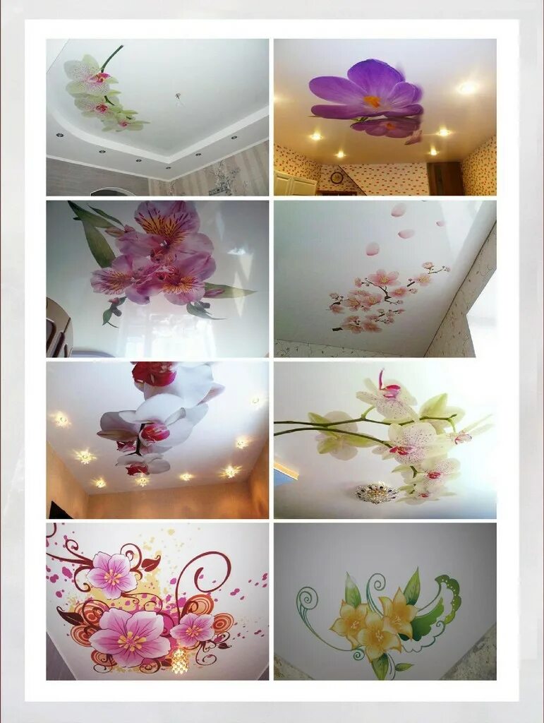 натяжные потолки с рисунком. фотопечать на потолке. фотопечать на потолке. натяжные потолки с фотопечатью для кухни. натяжные потолки.