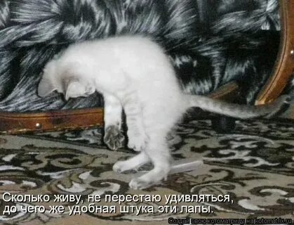 Она не перестает