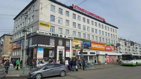 Бардина 2