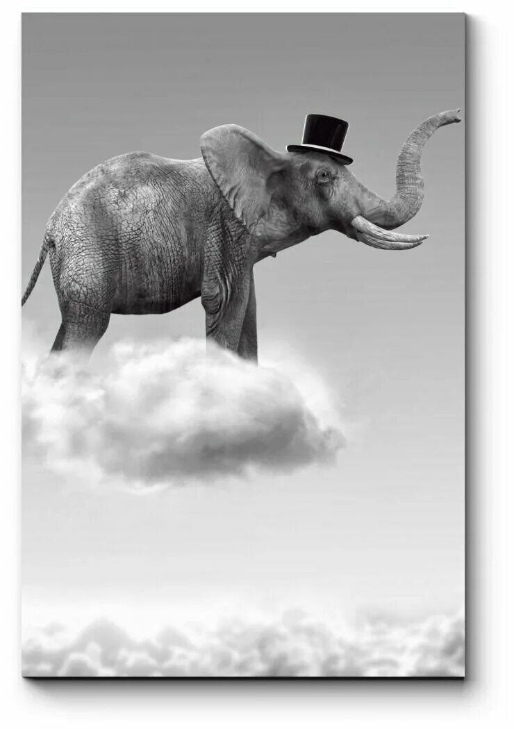 Летающие розовые слоники. Слон фон. Летающий слон. Летающие слоны. Розовые слоны.