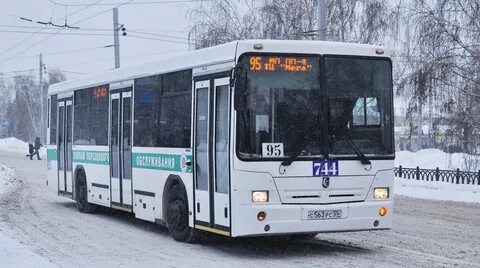 Мой маршрут 95