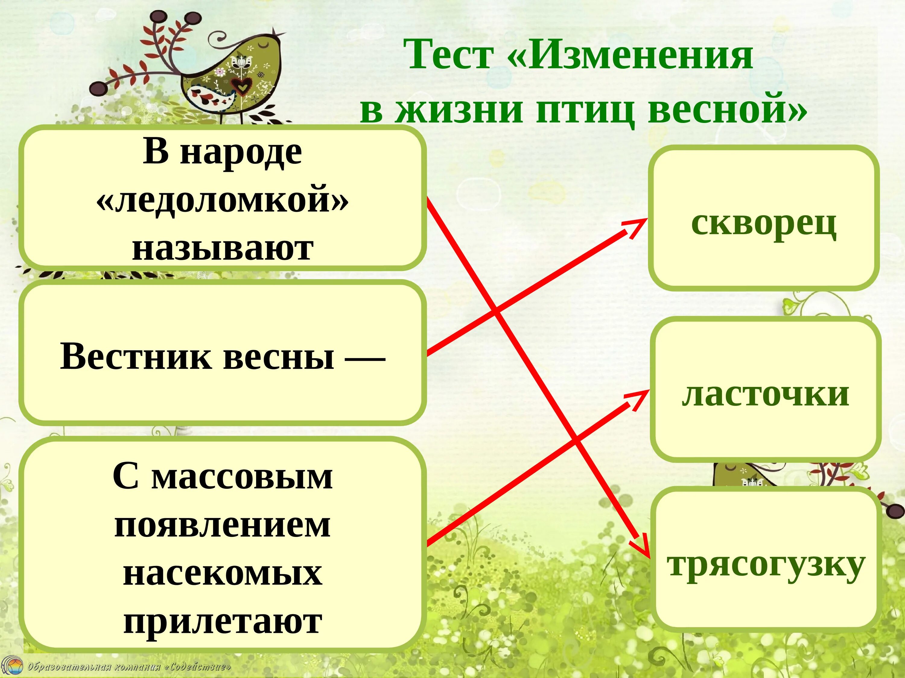 Изменения в жизни зверей весной. Весенние изменения в жизни животных. Изменения в жизни птиц весной. Весенние изменения в жизни птиц. Изменения у животных весной.