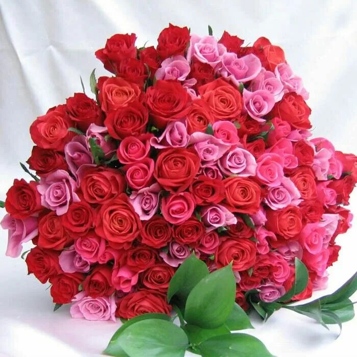 Красивой женщине красивые цветы. Цветы лене. Букет для леночки. Красивый букет для тебя. Цветы лене.