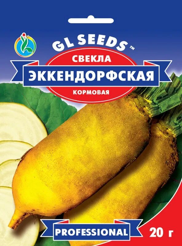 Свекла кормовая эккендорфская. Свекла кормовая Эккендорфская желтая.