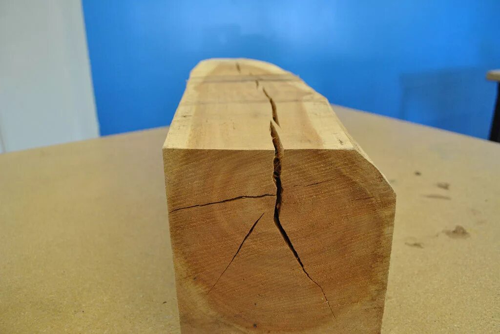 Трещины усушки древесины. Пороки древесины трещины усушки. Пластевые трещины усушки. Трещина в дереве.