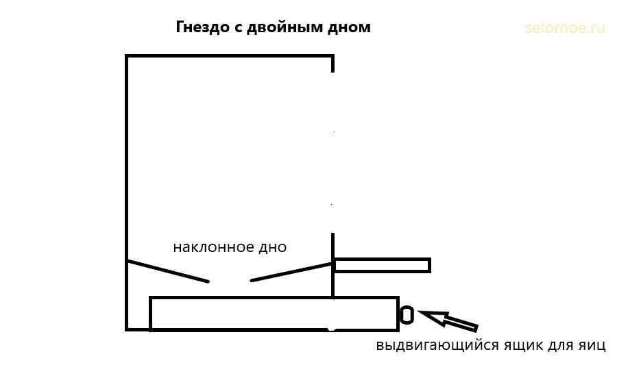 Чертежи яйцесборника для кур несушек своими руками. Гнездо для кур с яйцесборником чертеж. Гнездо для курицы с яицемзборником чертеж. Гнездо для кур с яйцеприемником с чертежами. Гнездо для кур несушек с яйцесборником чертеж с размерами.