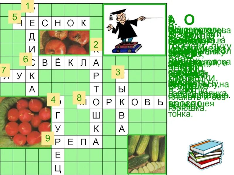 Овощ сканворд 5. Кроссворд по сбо. Кроссворд по сбо 6 класс. Кроссворды по сбо 6 класс с ответами.