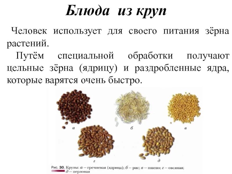 Вид крупы определяется. Тема:виды круп.. классификация блюд из круп. занятие блюда из зерна. практическая работа крупы.