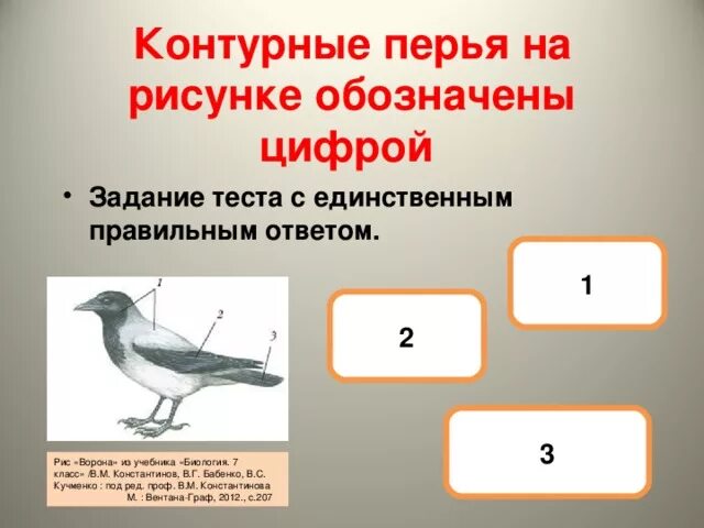 Внешнее строение птицы биология 7 класс. Задание по биологии птицы. Внутреннее строение птиц. Задания по теме внешнее строение птиц. Тест по биологии 7 класс строение птиц