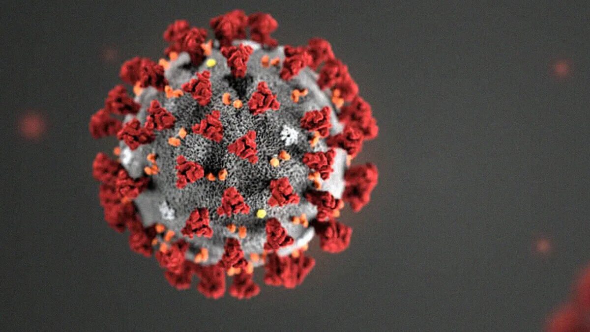 Коронавирус декабрь. Вирус Covid-19. Вирус ковид 19. Коронавирусы Covid-2019. Коронавирус Covid-19.