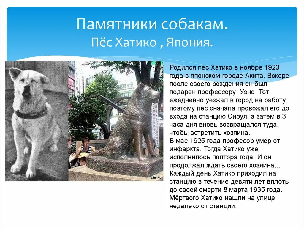 Где находится памятник хатико. Памятник собаке хатико в россии. памятник собаке хатико в японии. памятник собаке в японии хатико история. памятник собаке в японии история.