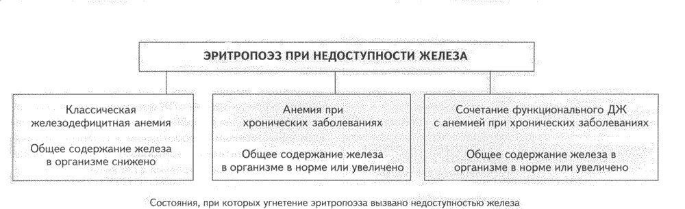 Железодефицитная анемия код мкб 10 у взрослых