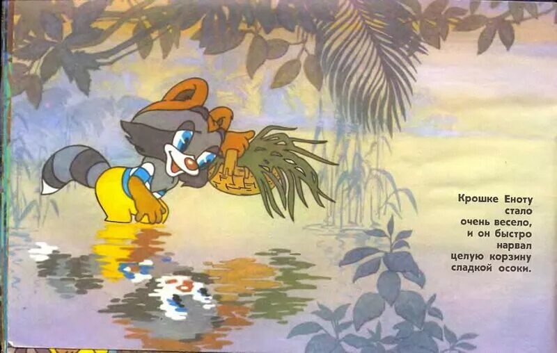 она помогла крошке еноту подружиться со своим