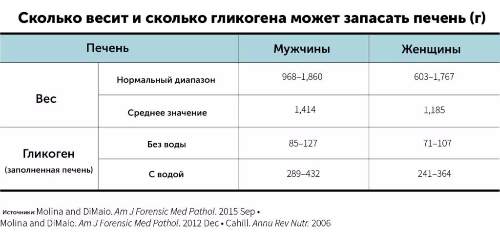 Какая печень у взрослого. Вес печени взрослого человека мужчины. Масса печени у взрослого человека.