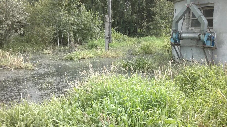 Индекс пгт мирный. Индекс пгт мирный. Посёлок городского типа мирный. Индекс пгт мирный. Индекс пгт мирный.