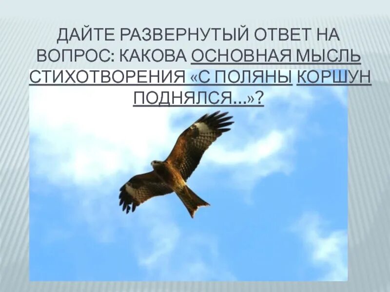 Стихотворение с поляны коршун. Ф.Тютчева "с Поляны Коршун поднялся".. Стих Тютчева с Поляны Коршун поднялся. Стих Тютчева с Поляны Коршун. Стихотворение с Поляны Коршун поднялся Тютчев.