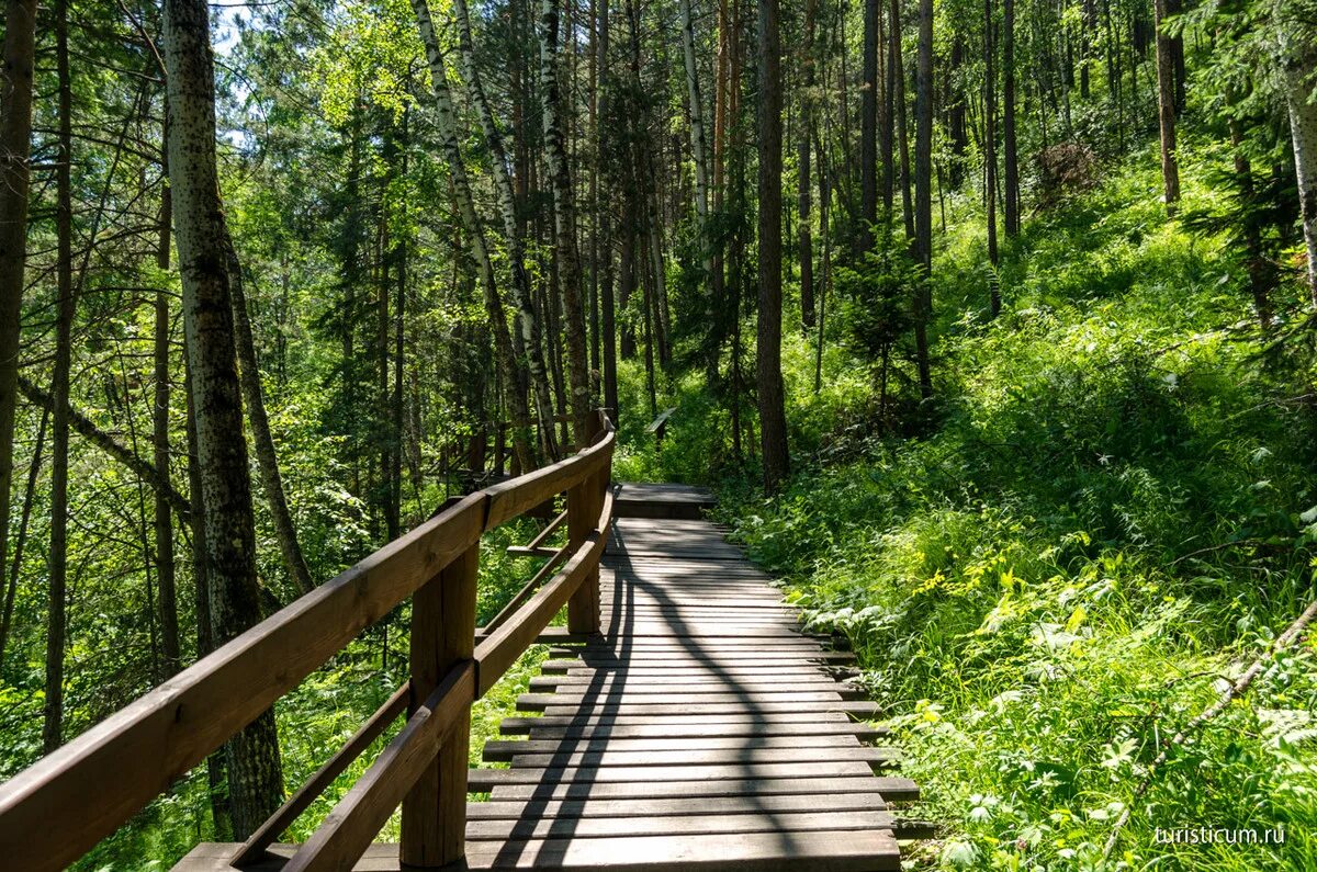 Тропа оленьи ручьи туристическая. Самые популярные тропы. Самые популярные тропы. Виа феррата в китае. Национальный парк шумава тропа.