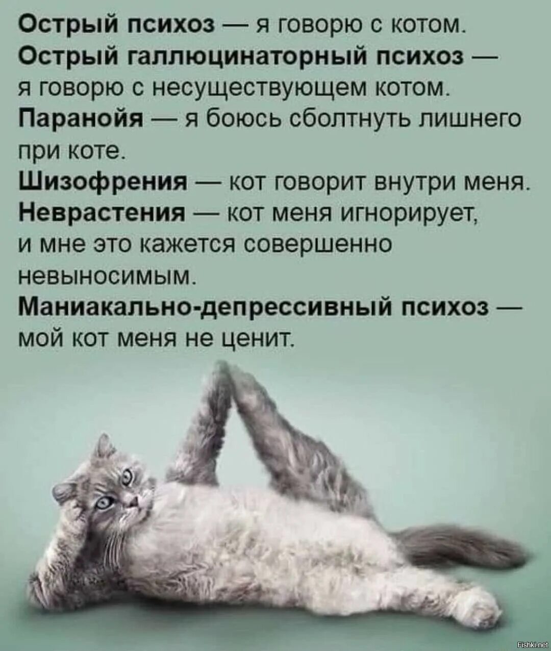 Котики хорошие лишнего текст