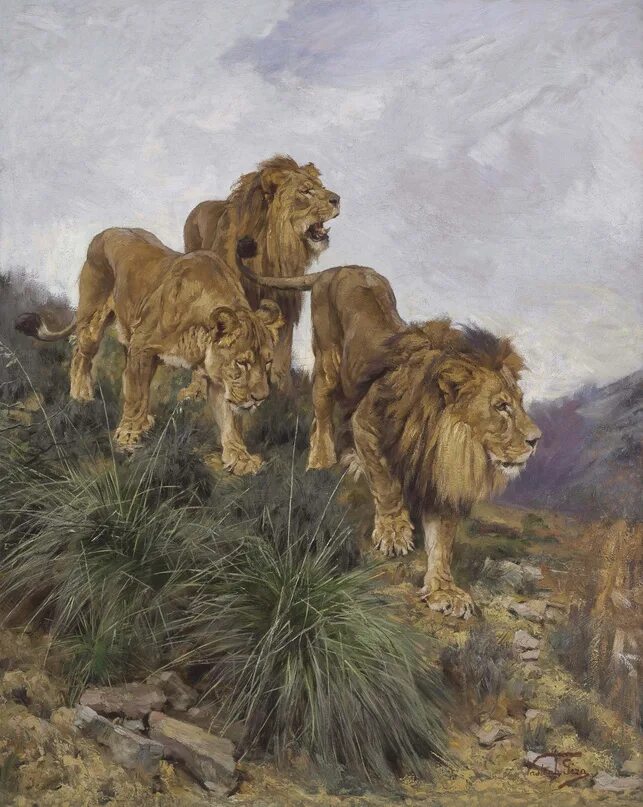 Геза Вастаг. 3 Льва. Картина Вастаг Геза. Изображение идущего Льва. Читать 3 льва