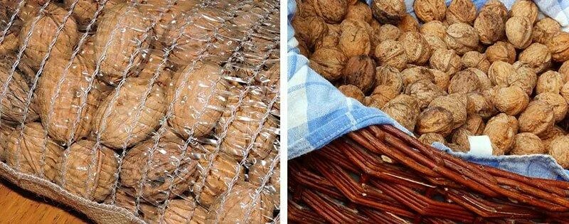 Хранение грецких. Хранение фундука. складирование грецкого ореха.