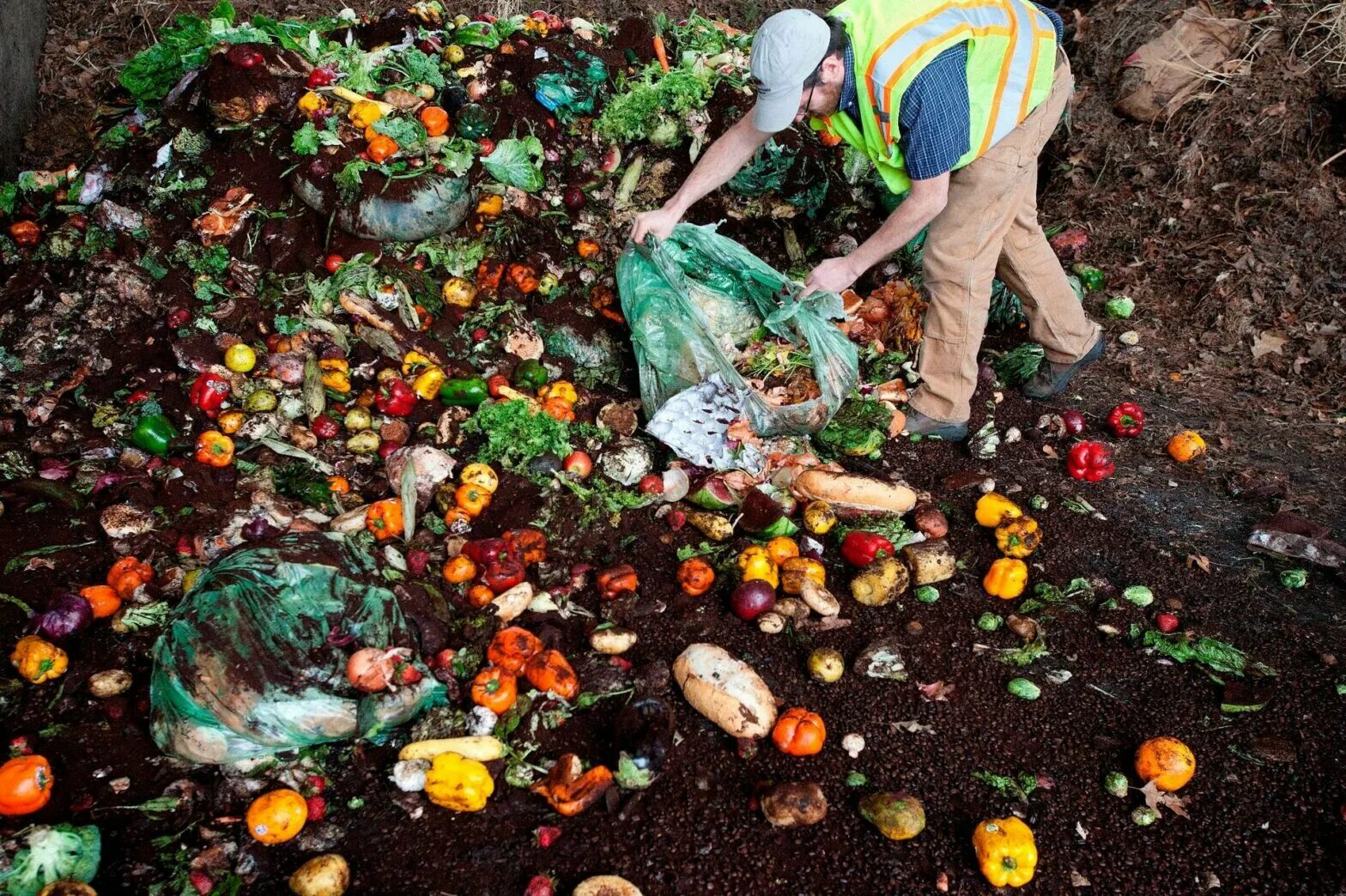 Органических отходов. Биоразложение органических отходов. Утилизация органических отходов. Переработка органических отходов.
