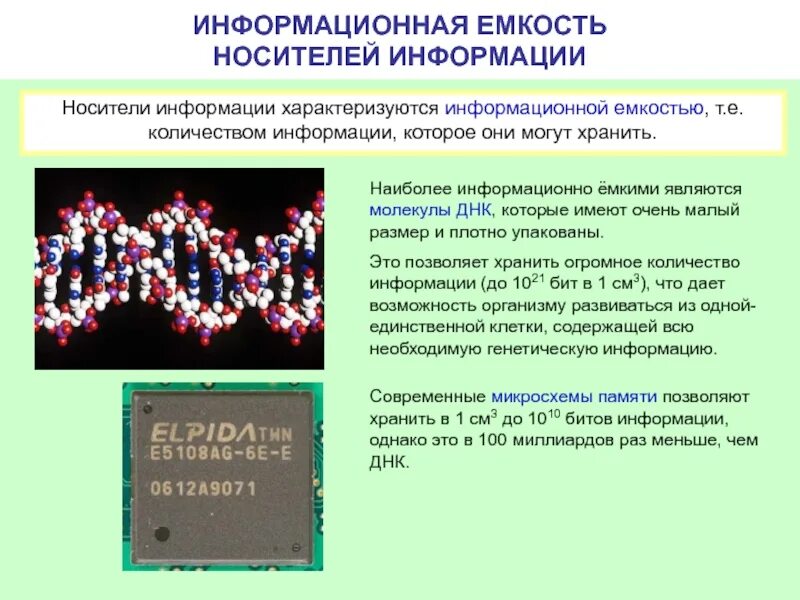 Огромному количеству информации. Информационная емкость днк. емкость носителей информации. информационный носитель информационная емкость. носители информации и их емкость.