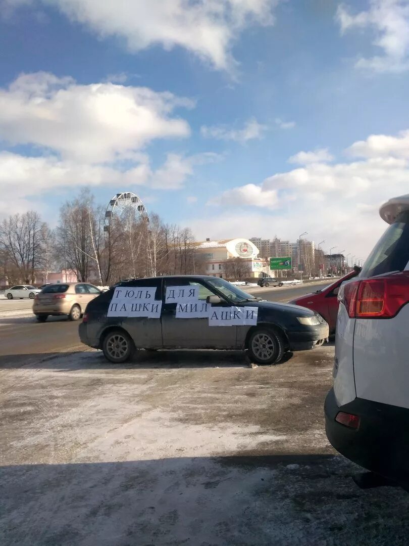 Тюль для Пашки милашки. Тюль для Пашки милашки Мем. Тюльпашки для Пашки. Тюль для Пашки милашки Мем с котом. Тюльпашки для милашки