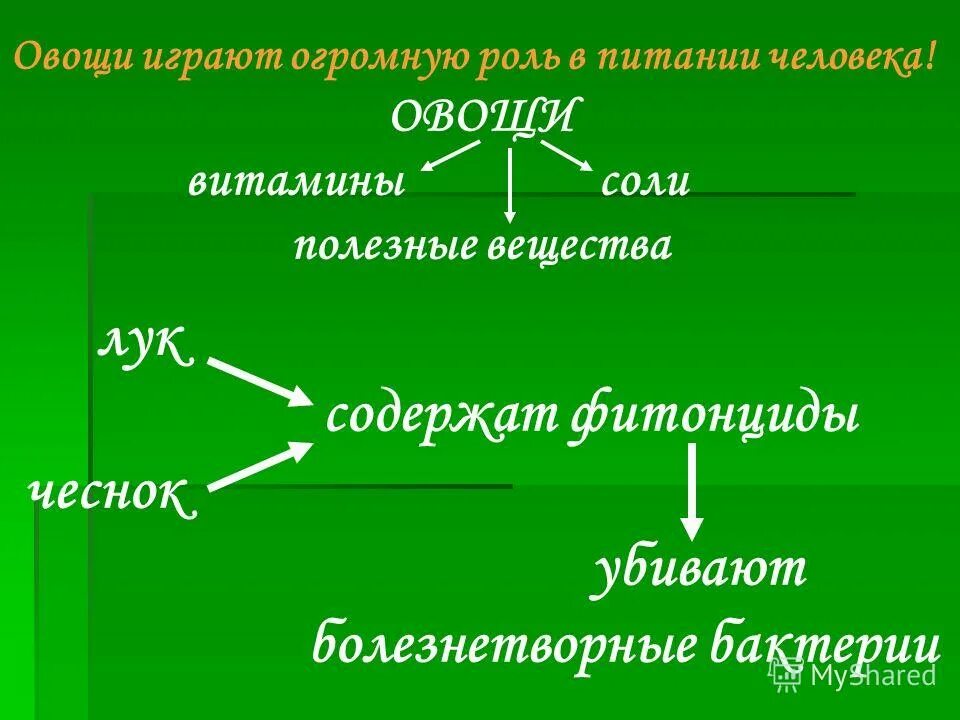 сыграла огромную роль