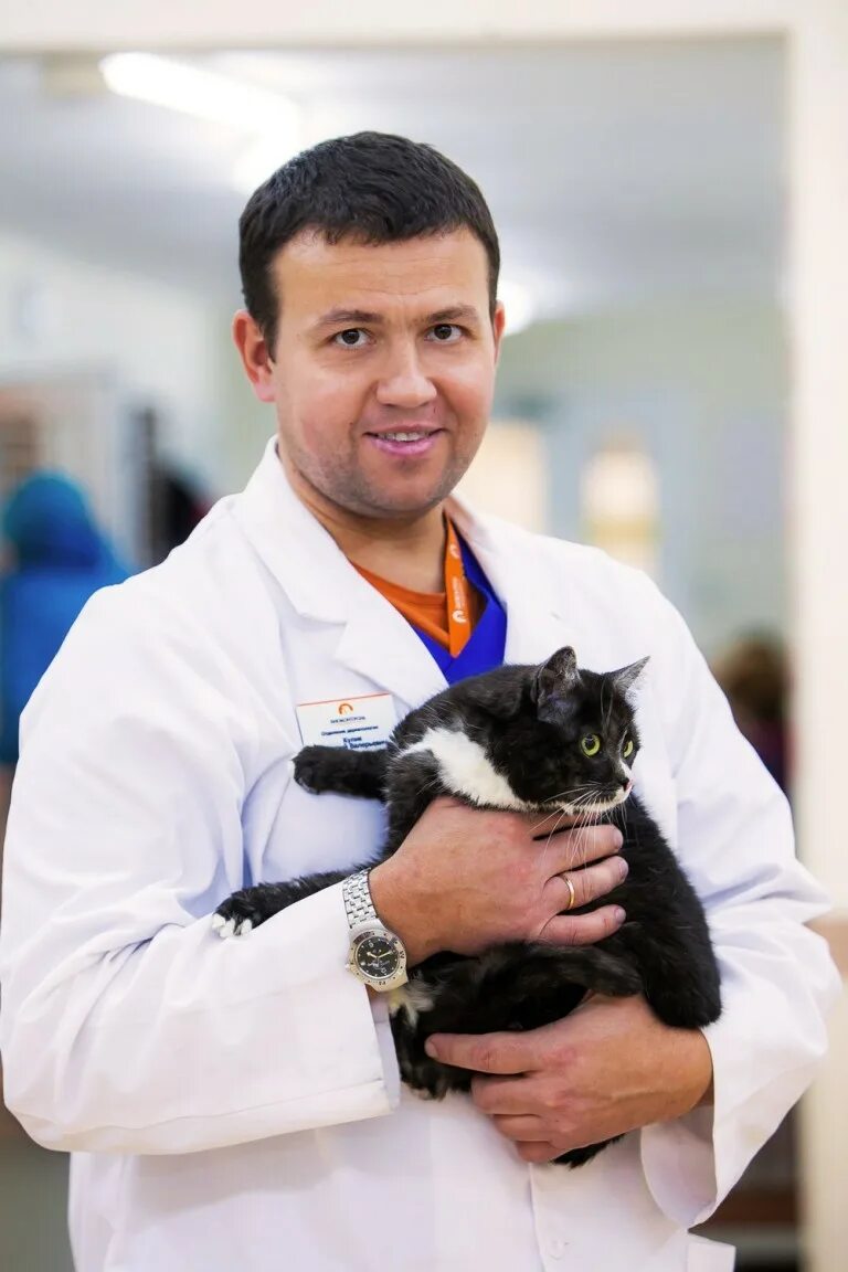 Ветеринары москвы отзывы. Маргия зурико зурабович. Ветеринарная клиника горностай. Ветеринары москвы отзывы. Калининская ветеринарная лечебница.