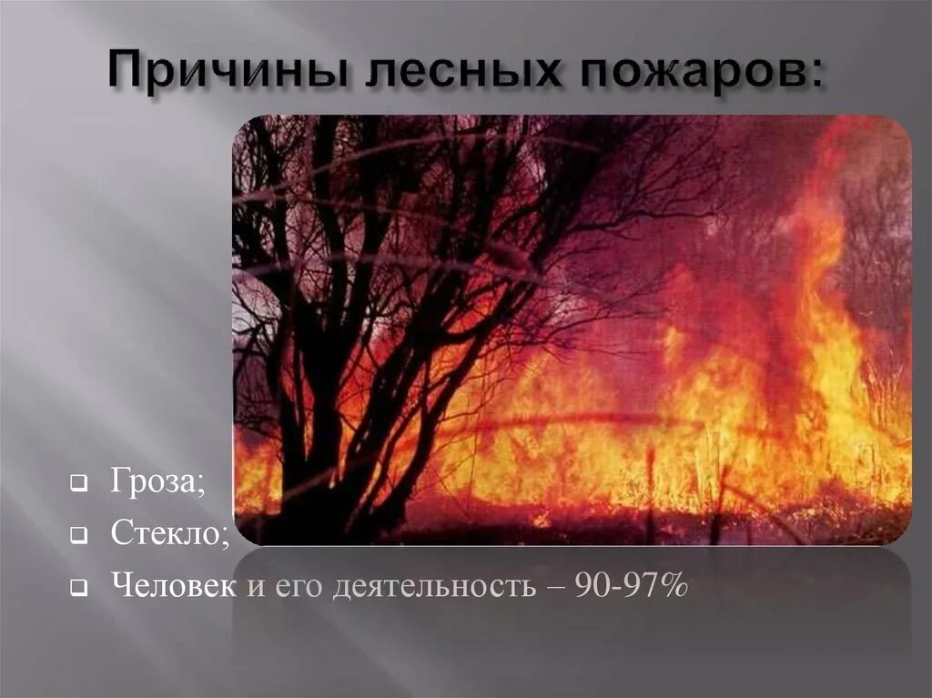 Почему пожар. Причины лесных пожаров. причины возгорания леса. причины возгорания лесных пожаров. самая частая причина лесных пожаров.