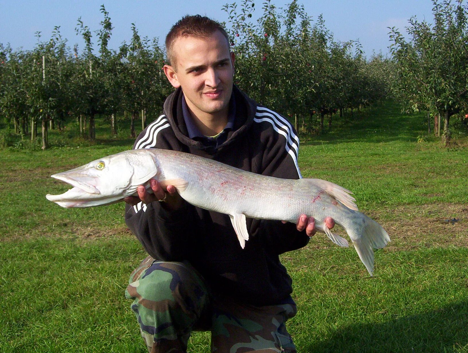 щука. щучий нос рыба. щука. щука обыкновенная. видеть щуку во сне к чему.