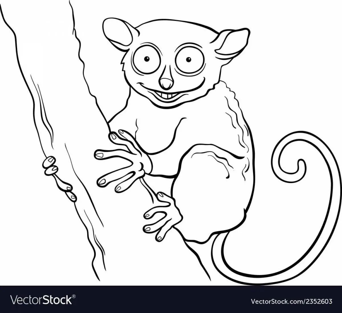 Лемур раскраска для детей. Долгопят раскраска для детей. Лемур раскраска. Раскраска милые лемуры. Долгопят раскраска для детей.