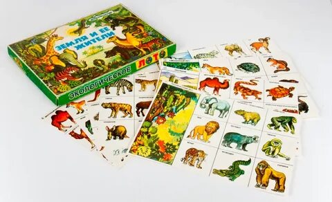 Настольная игра земля