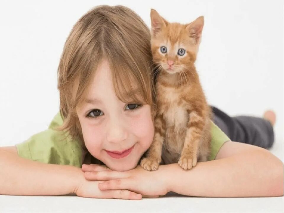 Породы кошек которые любят детей. Котёнок-ребёнок. кошка для детей. котенок мальчик. коты и дети.