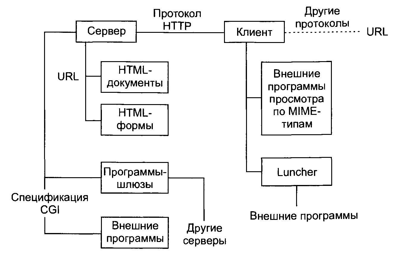 Клиент протоколы. Архитектура www. архитектура www-технологии. архитектура службы www. серверы, клиенты и протоколы.