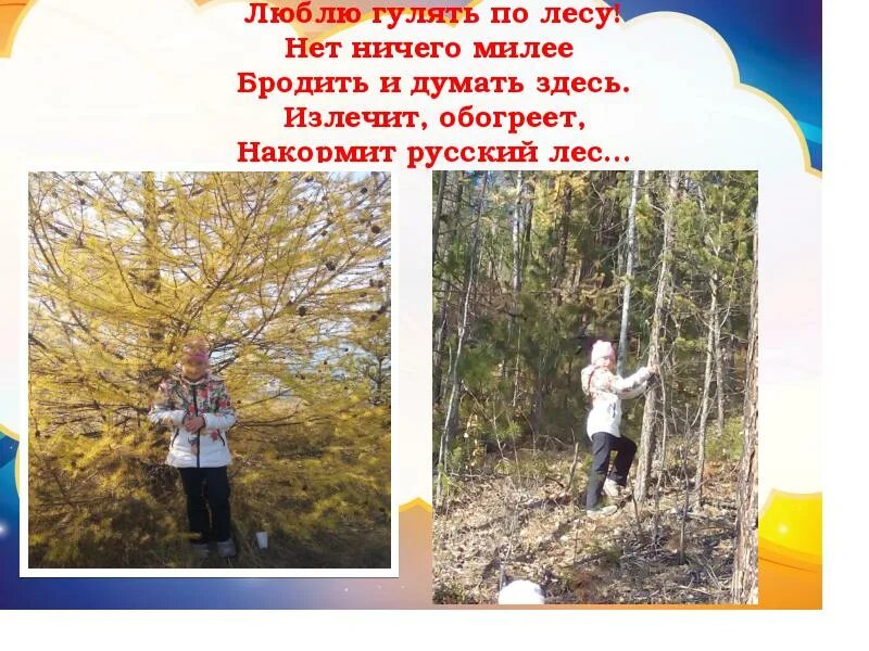 Прогулка по лесу конспект. Гулять по лесу. люблю гулять в лесу. люблю гулять. ветер по лесу гулял.