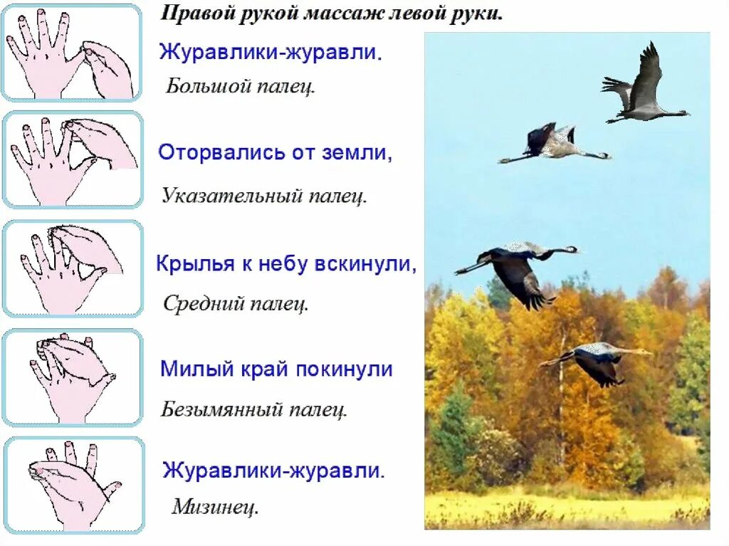 Тематическое планирование в средней группе перелетные птицы. Перелетные птицы для дошкольников. Перелетающие птицы для дошкольников. Перелетные птицы старшая группа. Перелетные птицы весной.