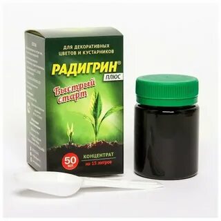 Быстро плюс