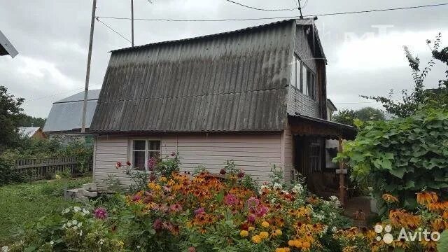 Снт волгарь волжск марий эл. Сады волгарь волжск. Снт волгарь волжск марий эл. Садовое общество волгарь. Снт волгарь волжск.