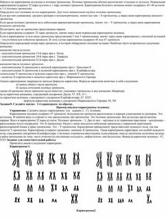 Представителю какого пола принадлежит данная кариограмма