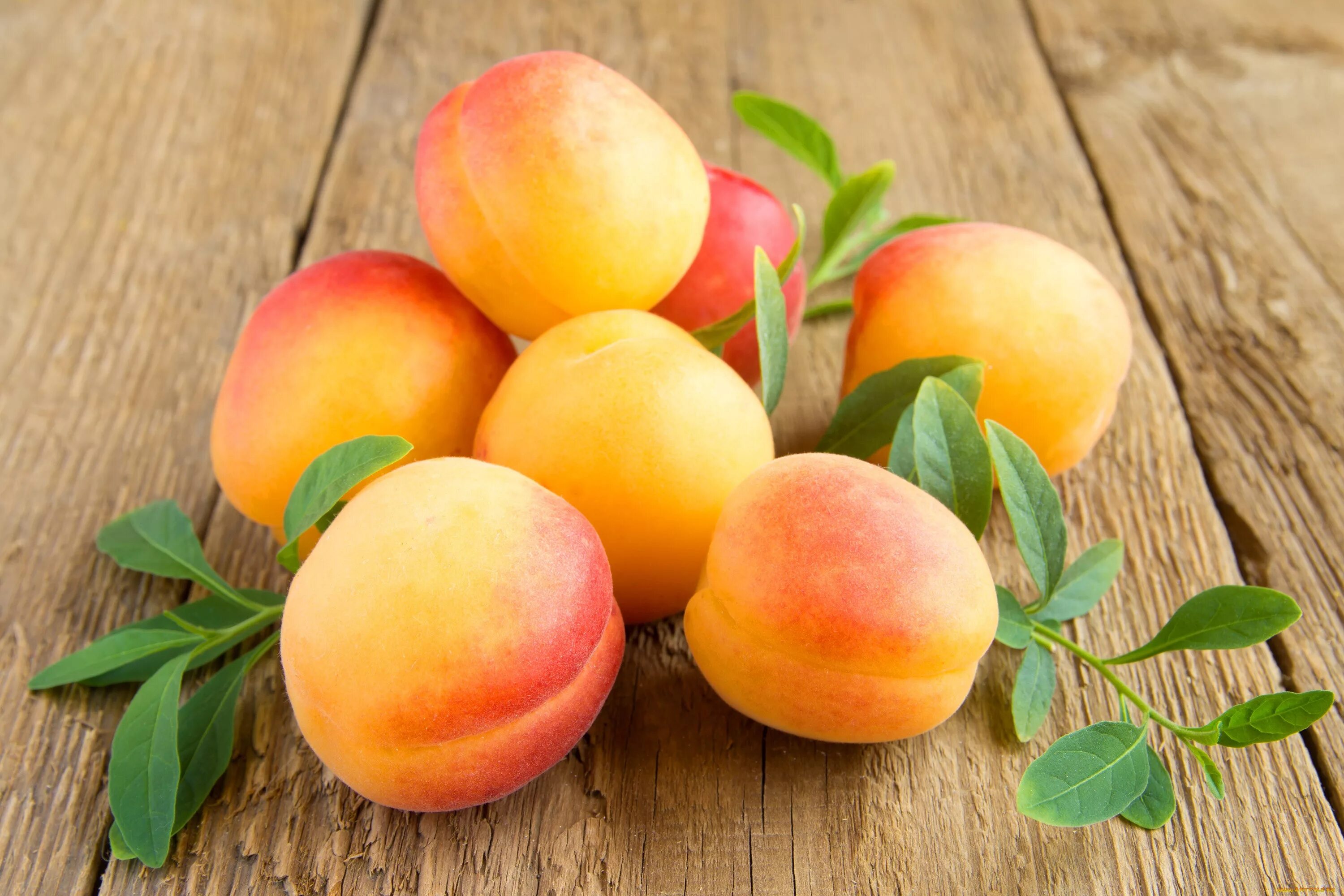 Peach apricot