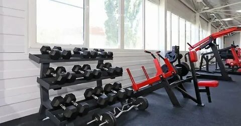 Спортзал медведь