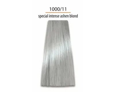 1000 11