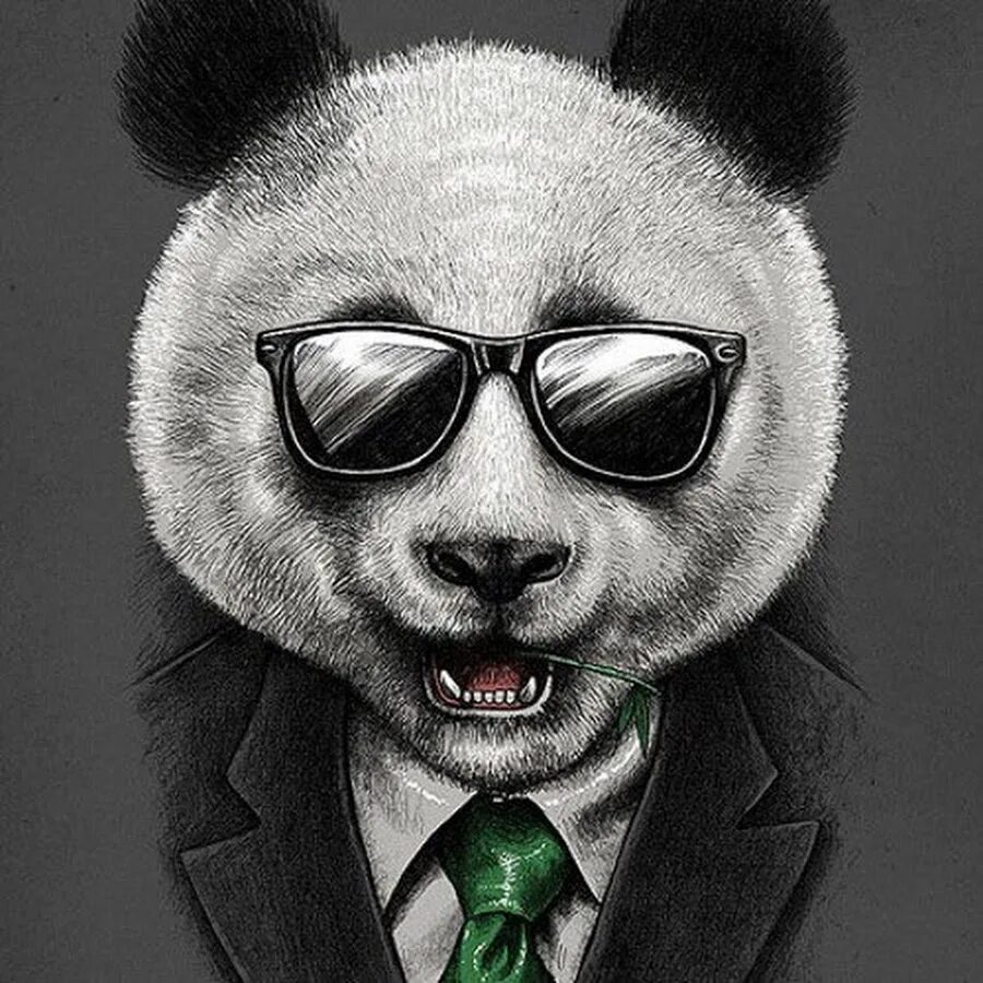 Панда в очках. Прикольные авы. Крутая Панда. Крутые рисунки на аватарку. Костюм панды.