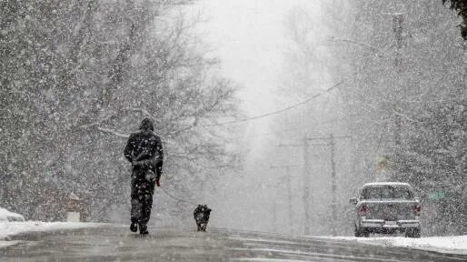 Метель на дороге. Сильный снегопад. Метель прогноз. Метель в городе. Заснеженные улицы европы.