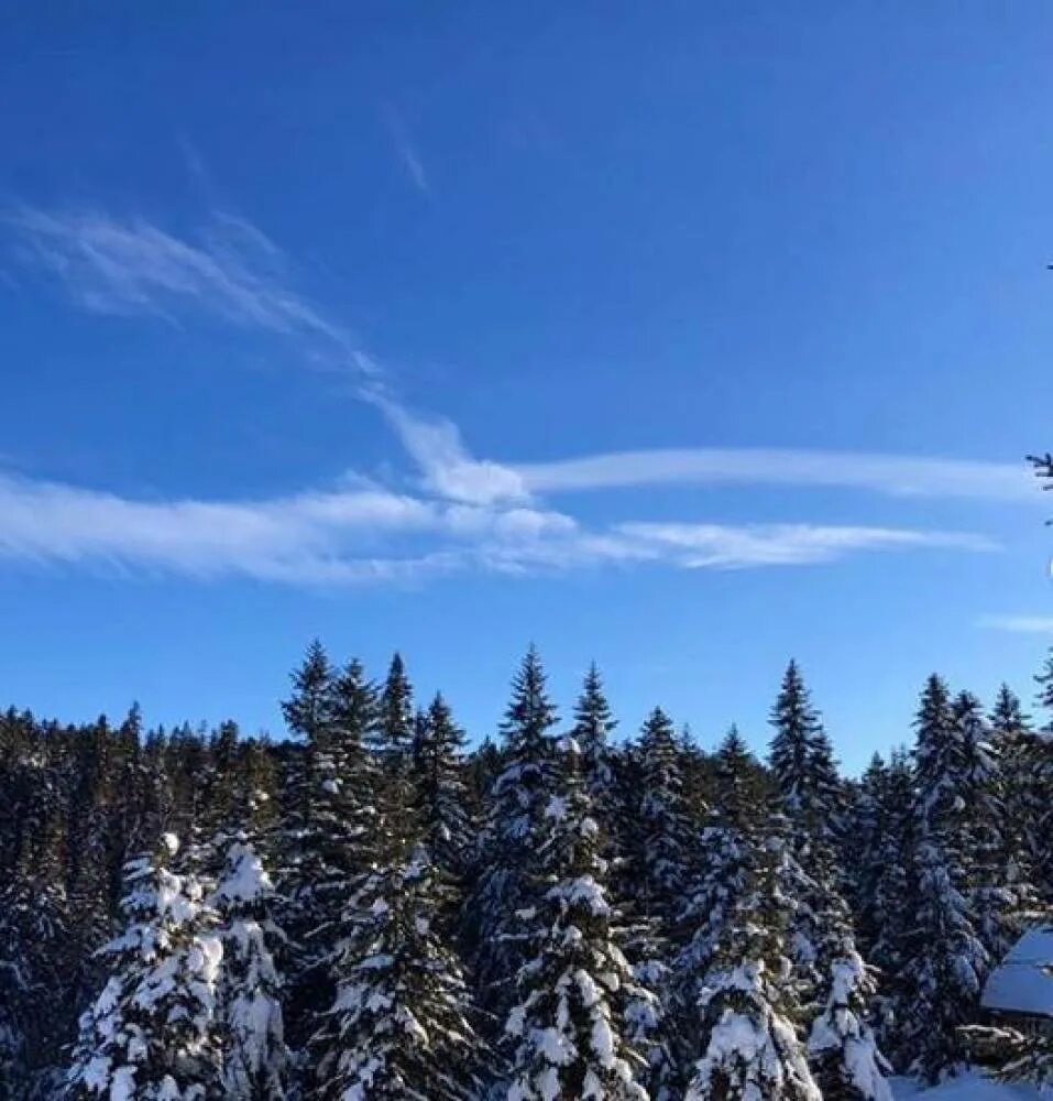 Мяо чан. Хребет мяо чан комсомольск. Горы мяо чан. Мяо чан. Мяо чан комсомольск на амуре.