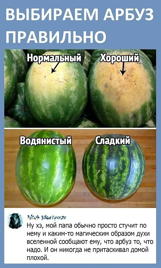 Как в арбузе отличить мальчика от девочку