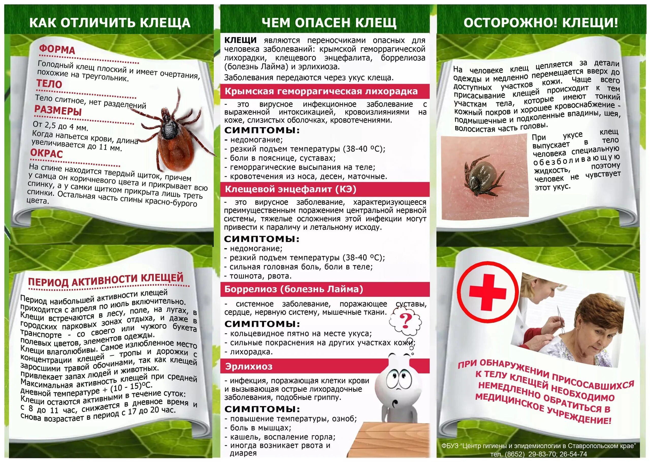 Можно в баню после прививки от клеща. Памятка клещи Роспотребнадзор. Буклеты и памятки клещевой энцефалит. Памятка осторожно клещевой энцефалит. Памятка про клещей Роспотребнадзор.