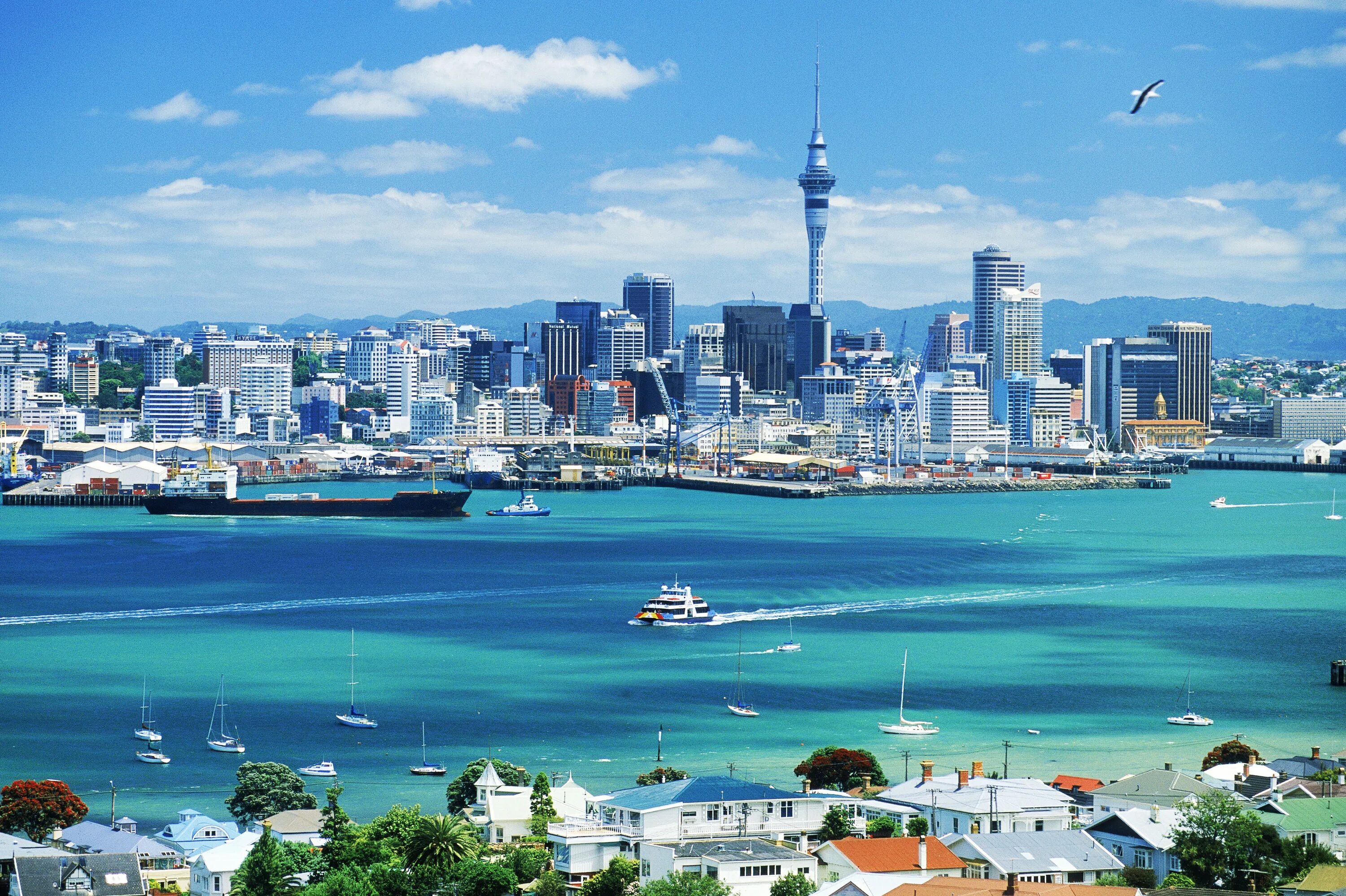 New zealand cities. Окленд новая Зеландия. Новозеландия Окленд. Окленд набережная. Южный Окленд.